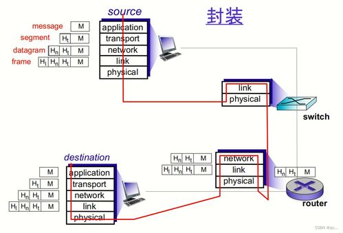 計算機網(wǎng)絡(luò)與因特網(wǎng) 網(wǎng)絡(luò)與信息安全軟件開發(fā)的關(guān)鍵基礎(chǔ)